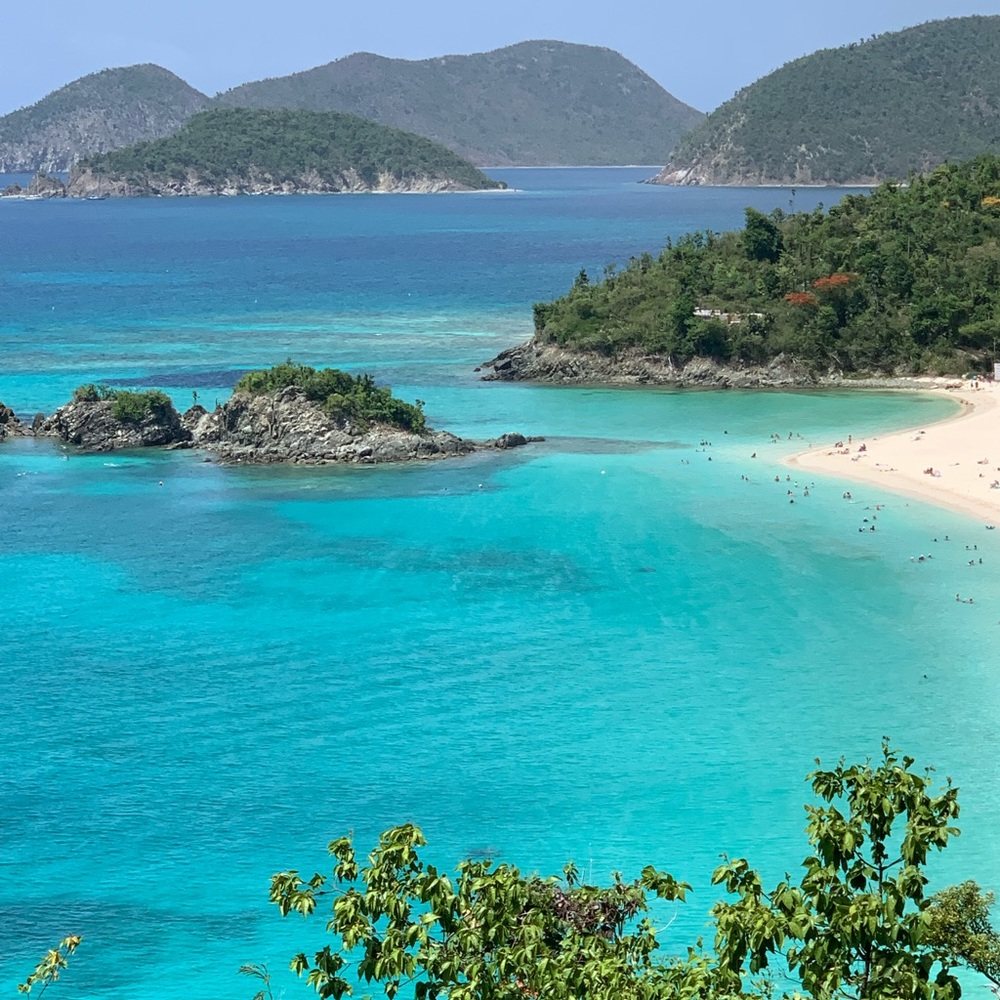 Meet your Posher, Rondine